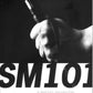 SM 101 A Realistic Introduction / Wiseman
